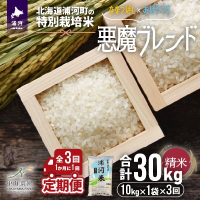 北海道浦河町の特別栽培米「悪魔ブレンド」精米(10kg×1袋)定期便(全3回)[37-1222]