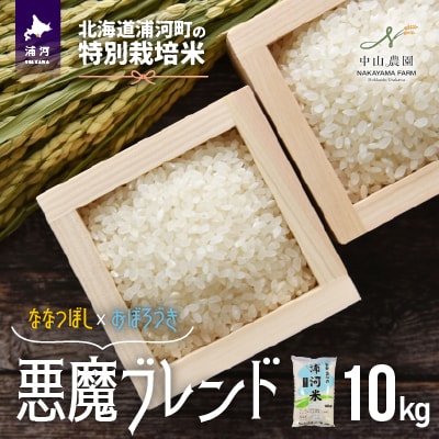 【新米発送!】北海道浦河町の特別栽培米「悪魔ブレンド」精米(10kg×1袋)[37-1224]