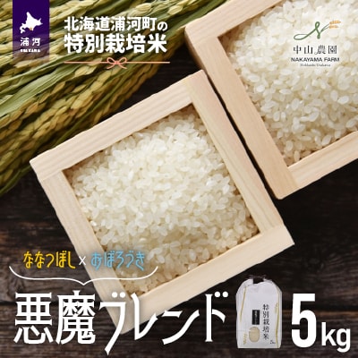 【新米発送!】北海道浦河町の特別栽培米「悪魔ブレンド」精米(5kg×1袋)[37-1225]