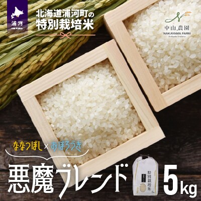 北海道浦河町の特別栽培米「悪魔ブレンド」精米(5kg×1袋)[37-1225]