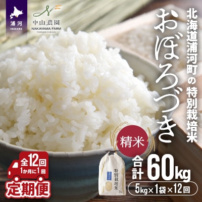 浦河町の特別栽培米「おぼろづき」精米5kg×1袋定期便(全12回)[37-1227]
