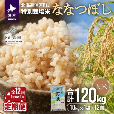 浦河町特別栽培米「ななつぼし」玄米10kg×1袋定期便(全12回)[37-1219]