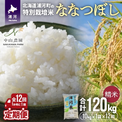 浦河町の特別栽培米「ななつぼし」精米10kg×1袋定期便(全12回)[37-1220]