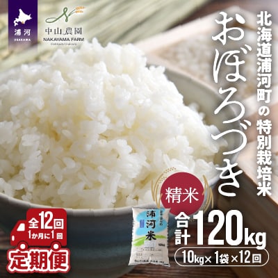 浦河町の特別栽培米「おぼろづき」精米10kg×1袋定期便(全12回)[37-1228]