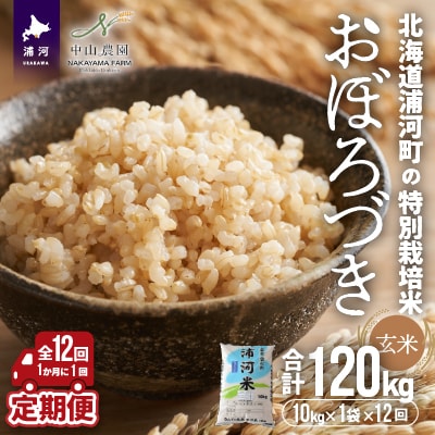 浦河町の特別栽培米「おぼろづき」玄米10kg×1袋定期便(全12回)[37-1229]
