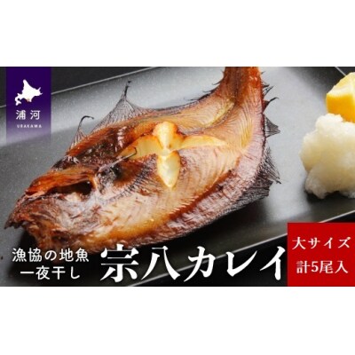 漁協の地魚一夜干し 宗八カレイ 大サイズ(5尾入)[02-1249]