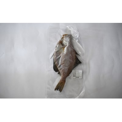 漁協の地魚一夜干し 宗八カレイ 大サイズ(5尾入)[02-1249]