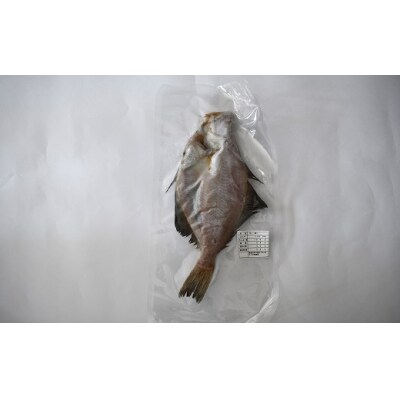 漁協の地魚一夜干し 宗八カレイ 大サイズ(5尾入)[02-1249]