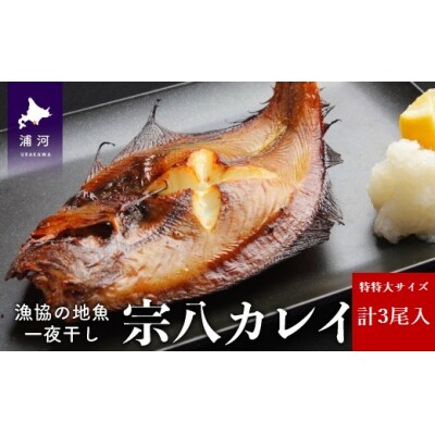 漁協の地魚一夜干し 宗八カレイ 特特大サイズ(3尾入)[02-1251]