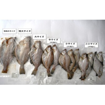 漁協の地魚一夜干し 宗八カレイ 特特大サイズ(3尾入)[02-1251]