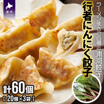 父の日対応】行者にんにく餃子(20個×3袋)[04-1231] | お礼品詳細