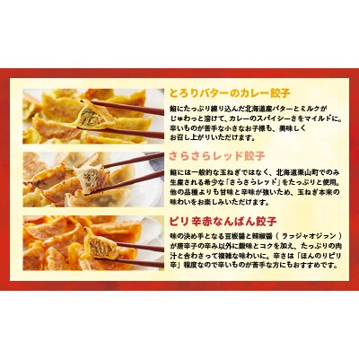 ラーメンまさご自慢の「浦河餃子」全5種セット(計100個)[04-1232]
