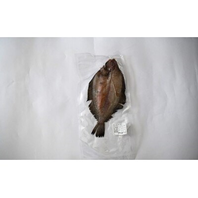 漁協の地魚一夜干し ナメタカレイ 大サイズ(5尾入)[02-1245]