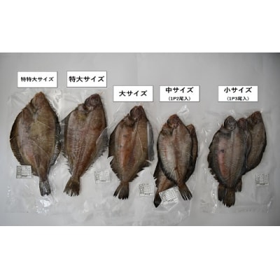 漁協の地魚一夜干し ナメタカレイ 特大サイズ(4尾入)[02-1246]