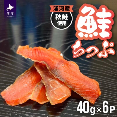 北海道日高産 さけちっぷ(40g×6P)[25-1290]