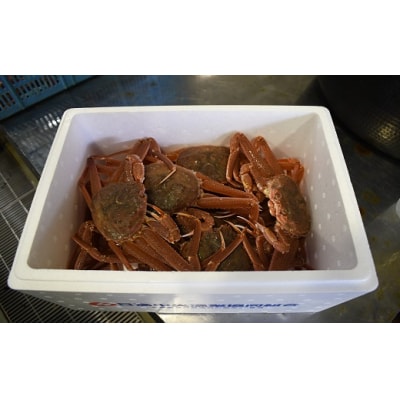 訳あり ゆでオオズワイガニ約2kg(8尾前後入)[02-1306]