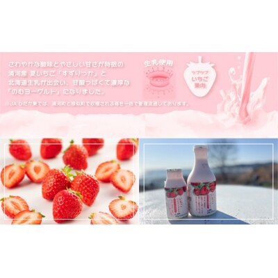 のむヨーグルト「すずりっか」定期便(全3回)[28-1323]