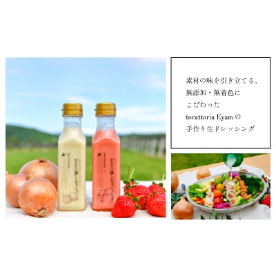 【贈答用】からだに優しい『生ドレッシング』ギフトボックス 2本セット[52-1325]