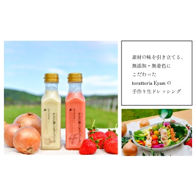 【家庭用】からだに優しい『生ドレッシング』定期便(全3回)[52-1326]