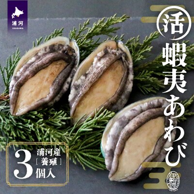 【12月発送!】活蝦夷あわび×3個[46-1345]