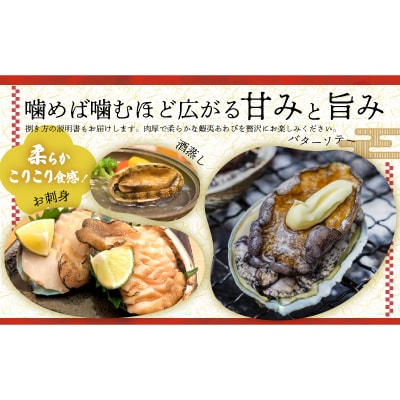 【12月発送!】活蝦夷あわび×5個[46-1344]
