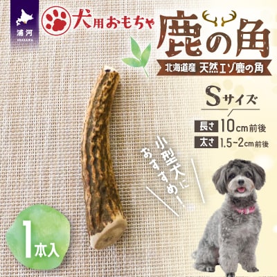 犬用「鹿の角」Sサイズ×1本[53-1347]