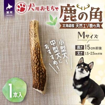 犬用「鹿の角」Mサイズ×1本[53-1348] | 北海道浦河町 | ふるさと納税