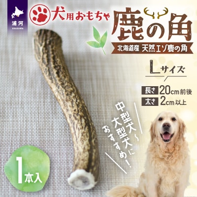 犬用「鹿の角」Lサイズ×1本[53-1349] | 北海道浦河町 | ふるさと納税