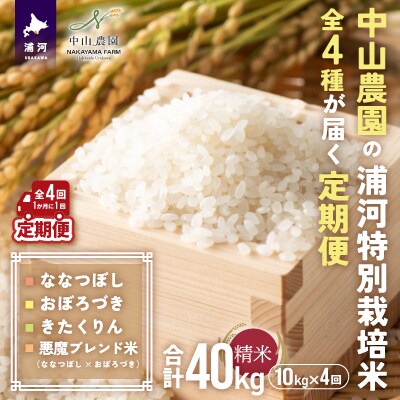 ふるさと納税 北海道浦河町の特別栽培米「おぼろづき」精米(10kg×1袋)[37-1133] 北海道浦河町 新米発送！北海道浦河町の特別栽培米「おぼろづき」精米(10kg×1袋