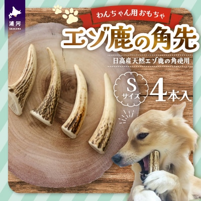 誠実 鹿の角 4本 （鹿の角 蝦夷鹿 エゾシカ 鹿の角 角4本 置物