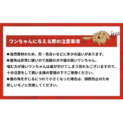 エゾ鹿の角先 Lサイズ×2本セット(1本物)[54-1365]