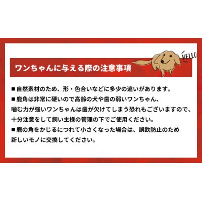 エゾ鹿の角先 Lサイズ×2本セット(1本物)[54-1365]