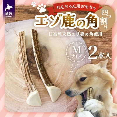 エゾ鹿の角 Mサイズ×2本セット(四割)[54-1369]