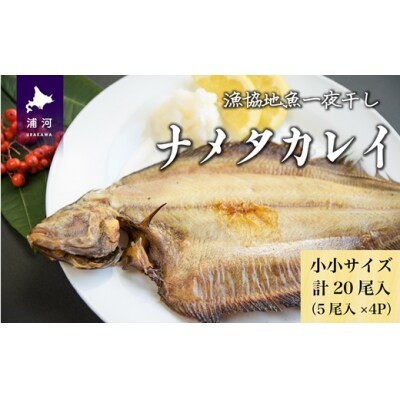 漁協の地魚一夜干し ナメタカレイ 小小サイズ(20尾入)[02-1390]