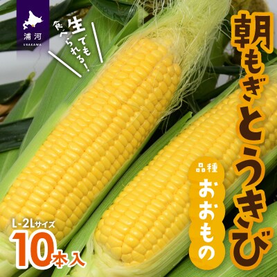 【先行受付中!】北海道浦河産 朝もぎとうもろこし「おおもの」10本入[24-1393]