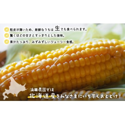 【今が旬!】北海道浦河産 朝もぎとうもろこし「おおもの」10本入[24-1393]