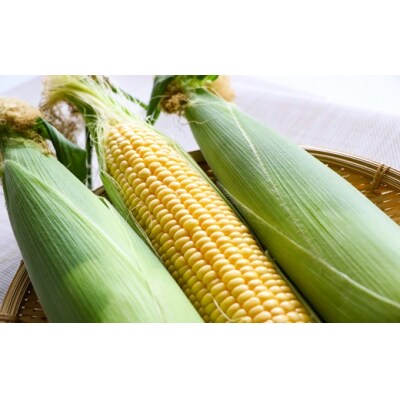 【先行受付中!】北海道浦河産 朝もぎとうもろこし「おおもの」10本入[24-1393]