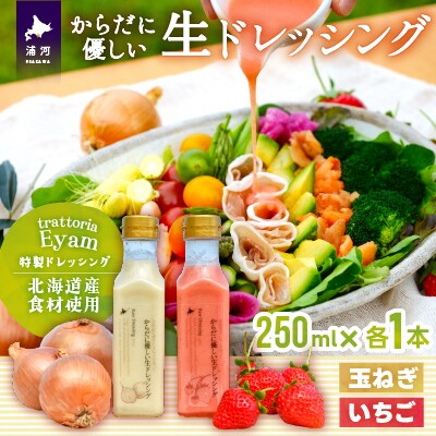 【家庭用】からだに優しい『生ドレッシング』2本セット[52-1400]