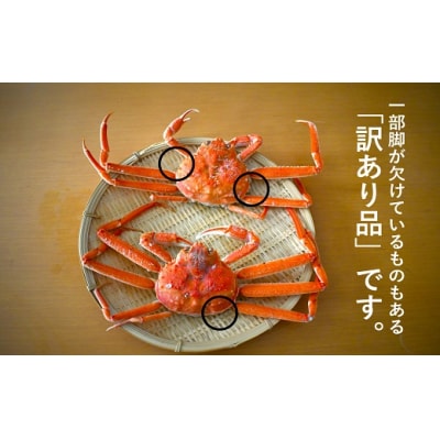 訳あり ゆでオオズワイガニ約7kg(約28～30尾入)[02-1412]