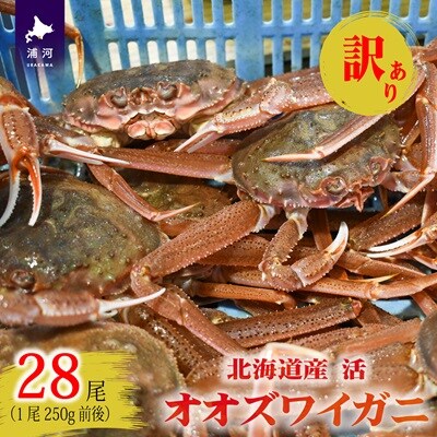 訳あり 活オオズワイガニ250g前後×28尾[02-1411]