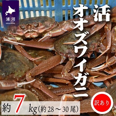 訳あり 活オオズワイガニ約7kg(約28～30尾入)[02-1411]