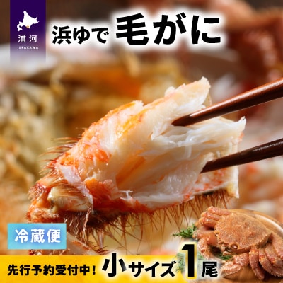 【先行受付開始!】漁協の浜ゆで毛がに 小サイズ1尾※日付指定対応不可※[02-1413]