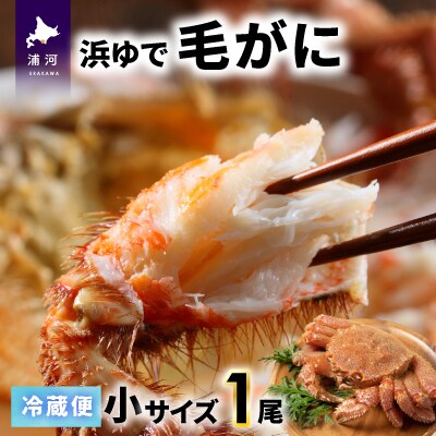 【今が旬!】漁協の浜ゆで毛がに 小サイズ1尾※日付指定対応不可※[02-1413]