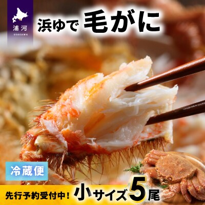 【先行受付開始!】漁協の浜ゆで毛がに 小サイズ5尾セット※日付指定対応不可※[02-1414]