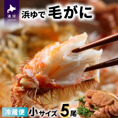 【今が旬!】漁協の浜ゆで毛がに 小サイズ5尾セット※日付指定対応不可※[02-1414]