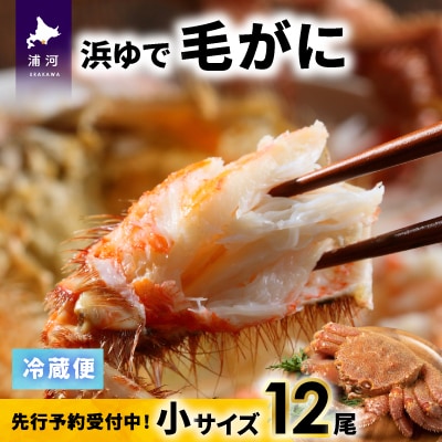 【先行受付開始!】漁協の浜ゆで毛がに 小サイズ12尾セット※日付指定対応不可※[02-1415]