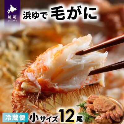 【今が旬!】漁協の浜ゆで毛がに 小サイズ12尾セット※日付指定対応不可※[02-1415]