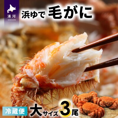 【今が旬!】漁協の浜ゆで毛がに 大サイズ3尾※日付指定対応不可※[02-1416]