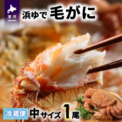 【今が旬!】漁協の浜ゆで毛がに 中サイズ1尾※日付指定対応不可※[02-1417]