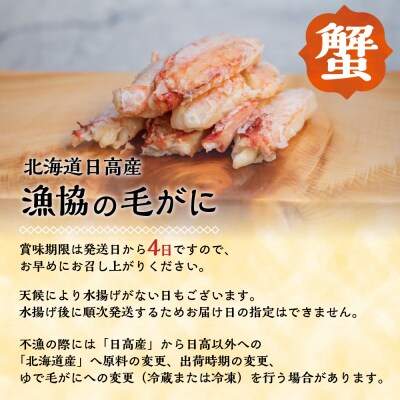 【先行受付開始!】漁協の活毛がに 中サイズ1尾※日付指定対応不可※[02-1421]